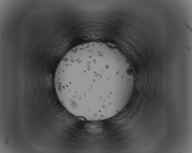X0000092330563200710051317