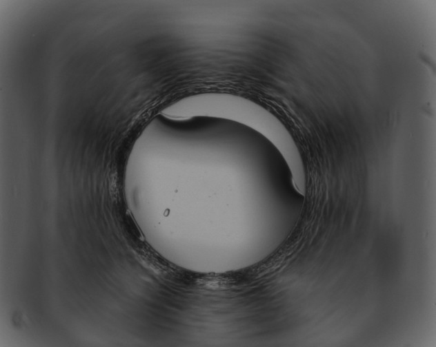 X0000092330564200710051317