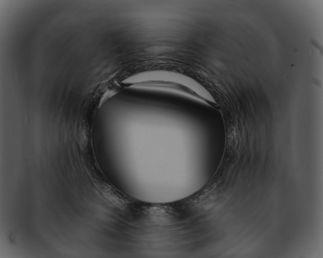 X0000092330566200710051317