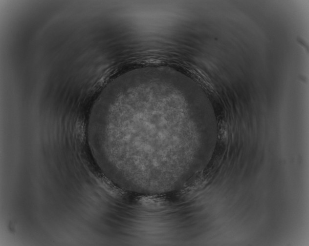 X0000092330568200710051317