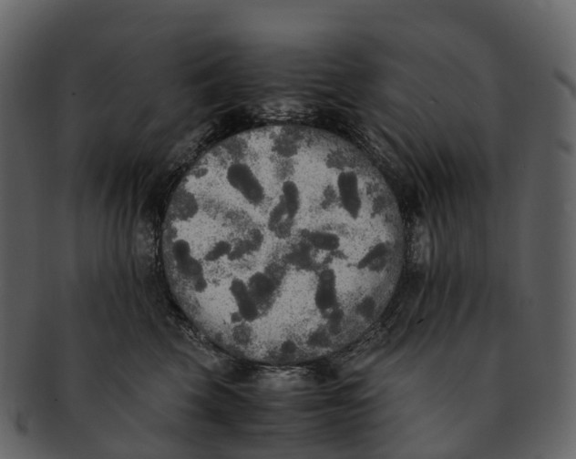 X0000092330569200710051317
