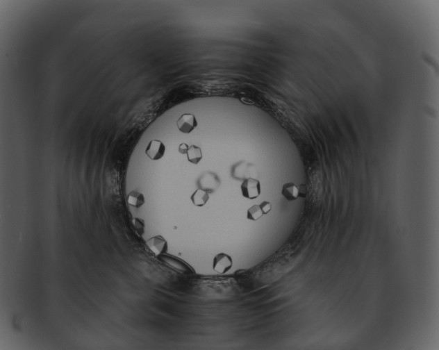X0000092330571200710051317