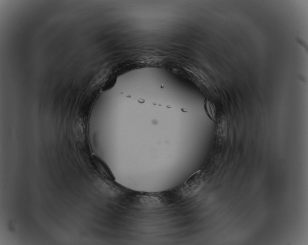 X0000092330572200710051317