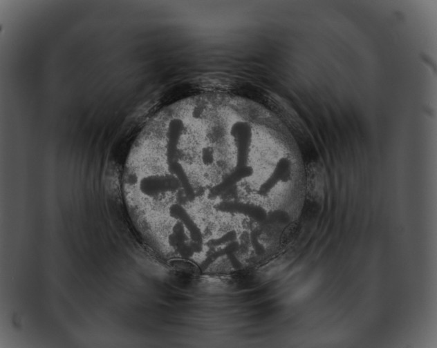 X0000092330573200710051317
