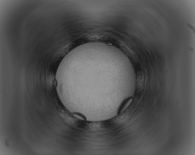 X0000092330574200710051317