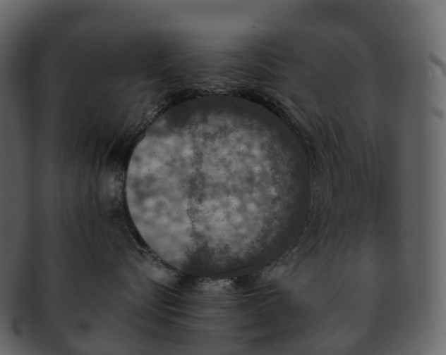 X0000092330576200710051317