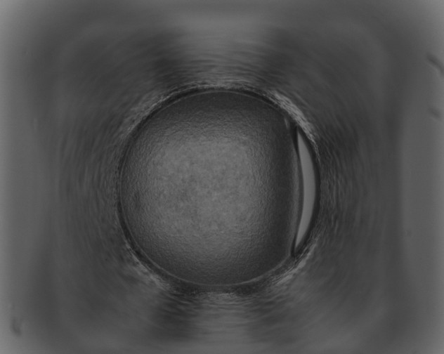 X0000092330577200710051316