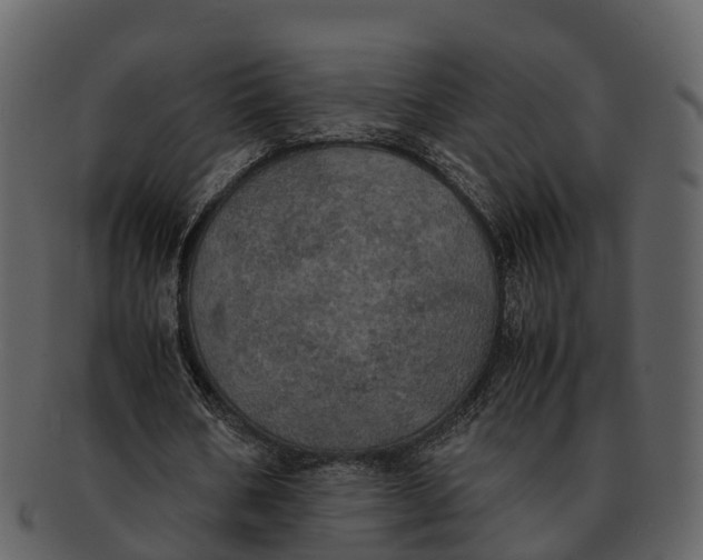 X0000092330578200710051316