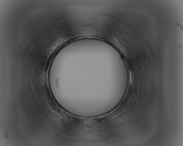 X0000092330579200710051316