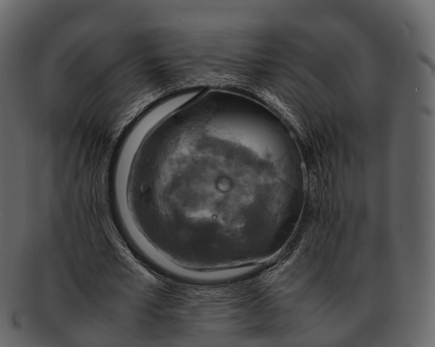 X0000092330581200710051316