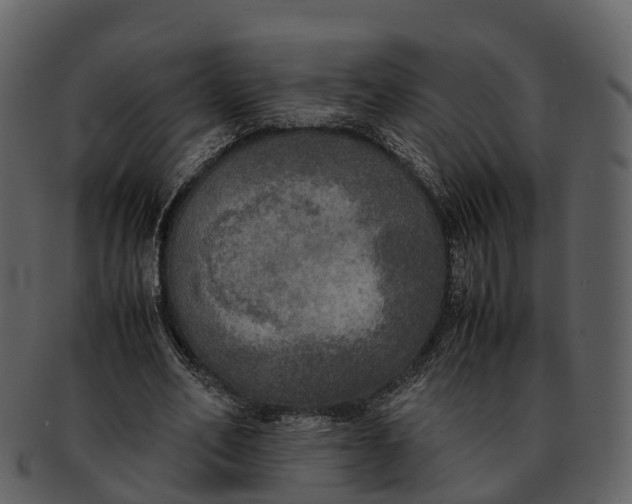 X0000092330582200710051316