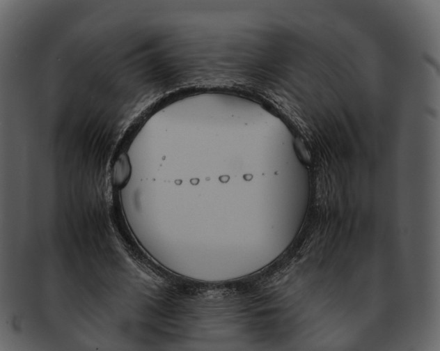 X0000092330584200710051316