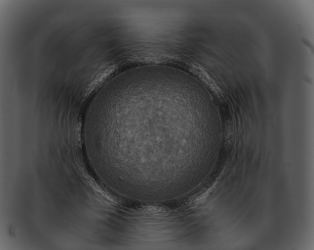 X0000092330585200710051316