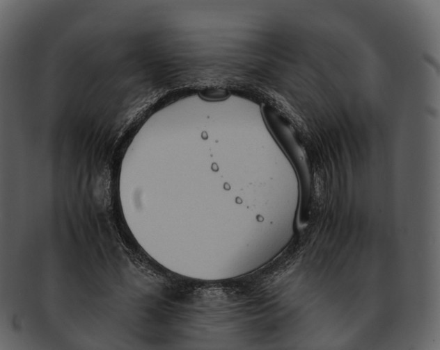 X0000092330588200710051316