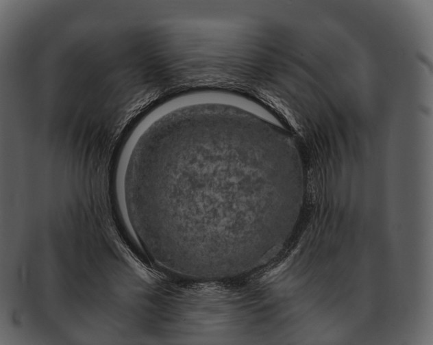 X0000092330589200710051316