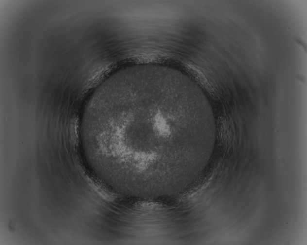 X0000092330590200710051316