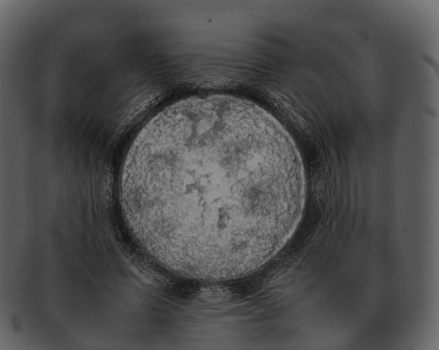 X0000092330591200710051316