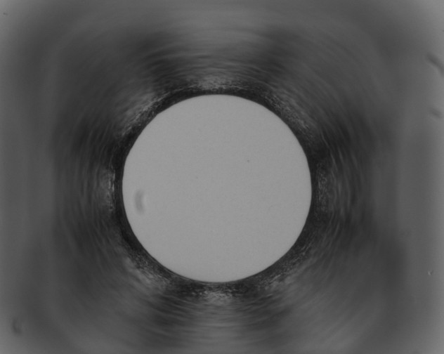 X0000092330592200710051316