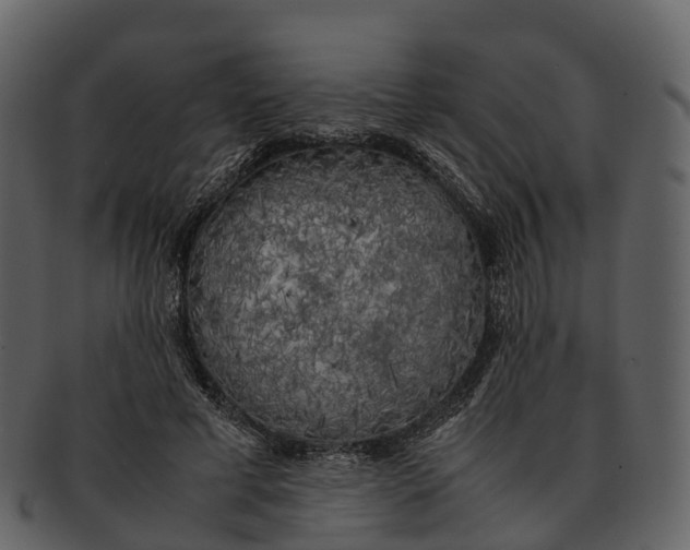 X0000092330593200710051316
