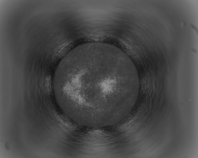 X0000092330594200710051316