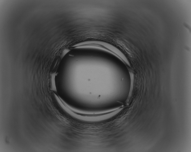 X0000092330597200710051316