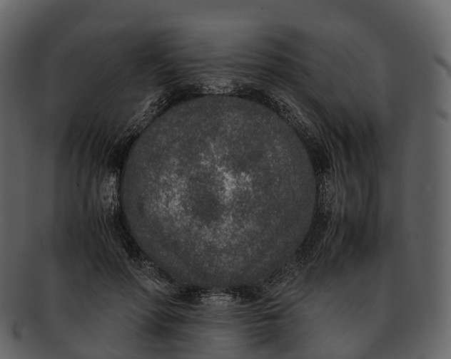 X0000092330598200710051316