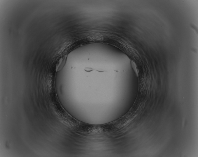 X0000092330600200710051316