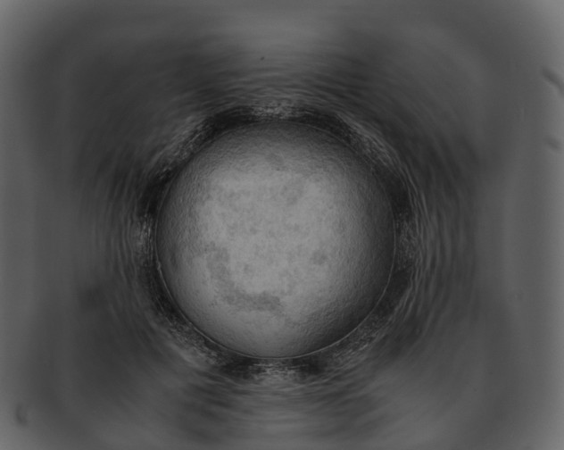 X0000092330601200710051316