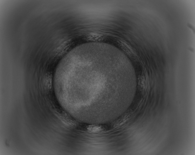 X0000092330602200710051316