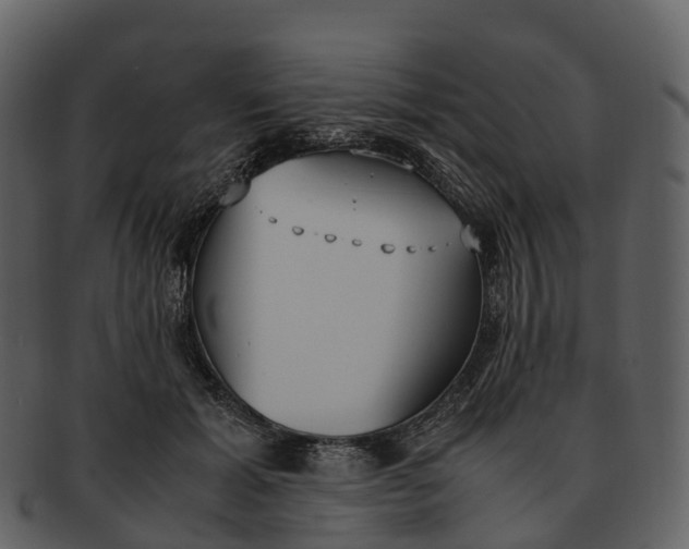 X0000092330605200710051316