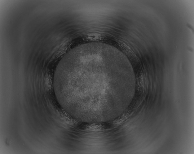 X0000092330606200710051316