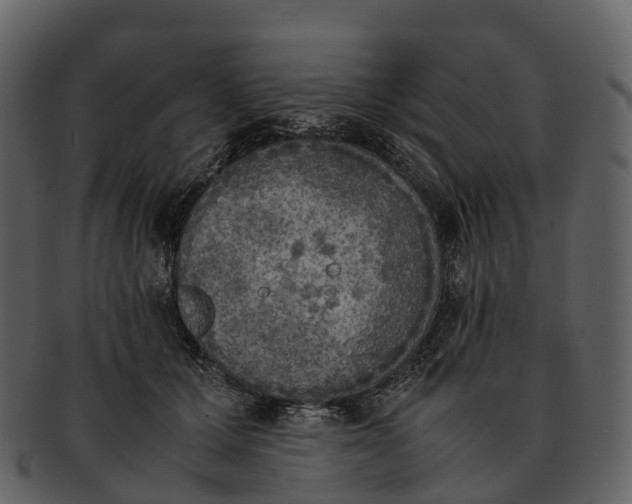 X0000092330607200710051316