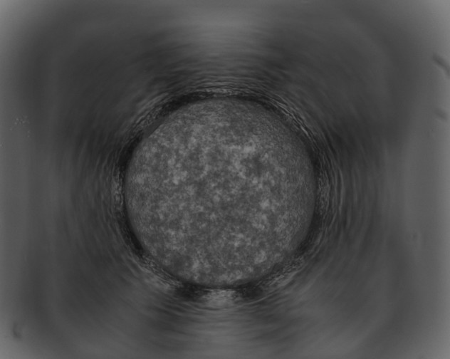 X0000092330609200710051316