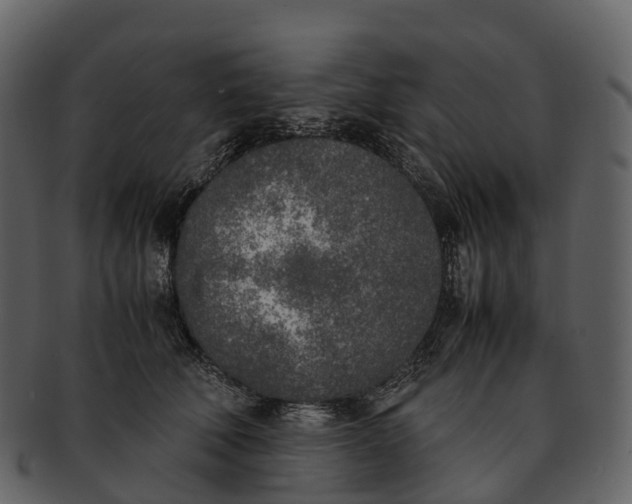 X0000092330610200710051316