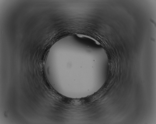 X0000092330613200710051316
