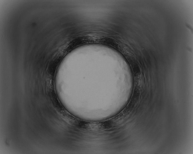 X0000092330615200710051316