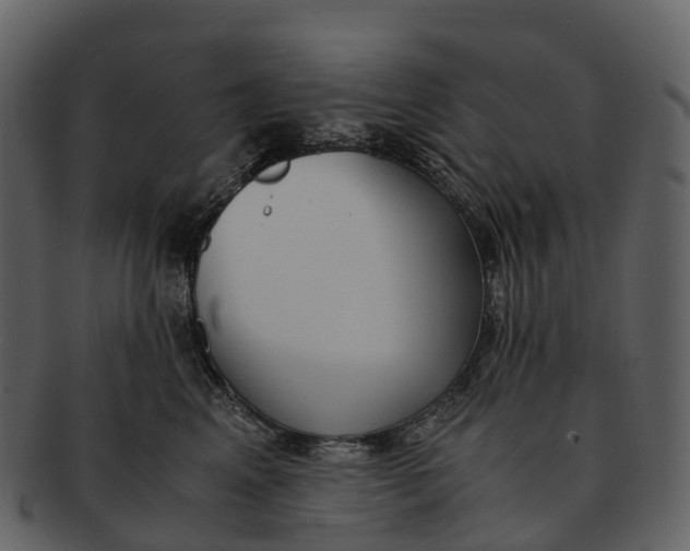 X0000092330617200710051316