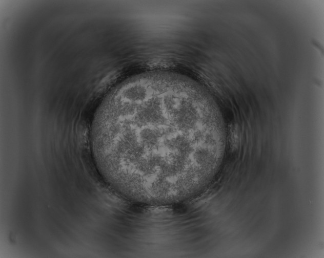 X0000092330619200710051316