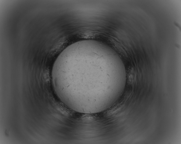 X0000092330620200710051316