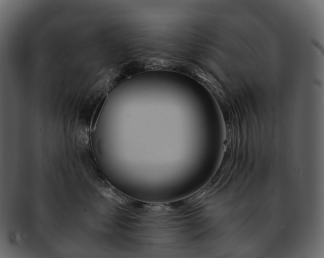 X0000092330621200710051316