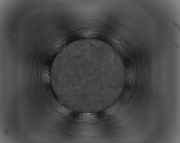 X0000092330622200710051316