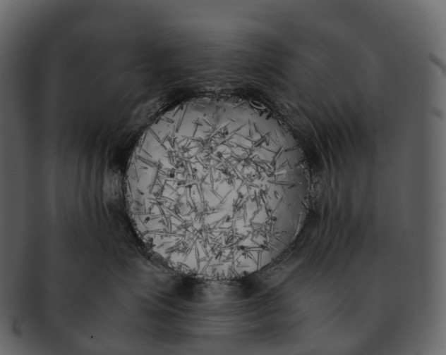 X0000092330623200710051316