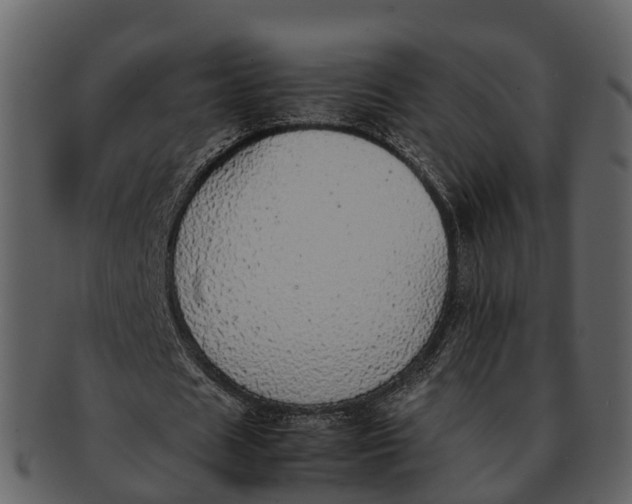 X0000092330625200710051315