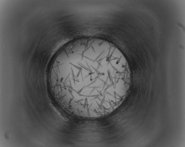 X0000092330626200710051315