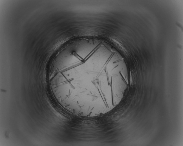 X0000092330627200710051315