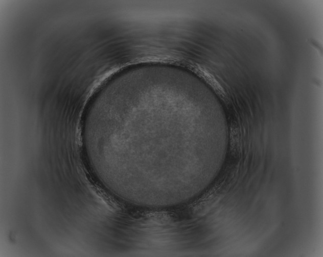 X0000092330628200710051315