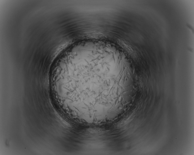 X0000092330630200710051315