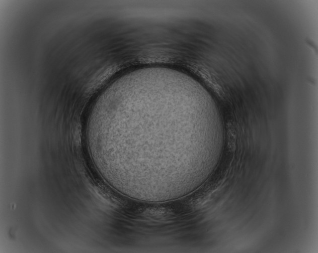 X0000092330631200710051315