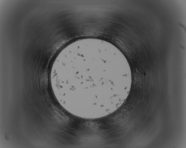 X0000092330632200710051315