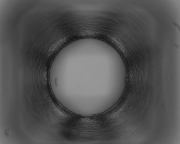 X0000092330633200710051315